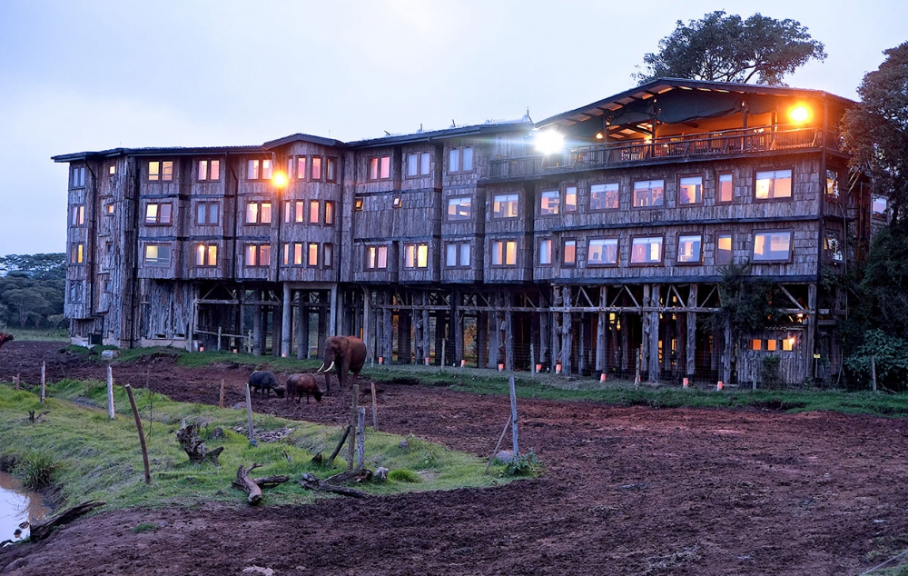 Treetops Lodge