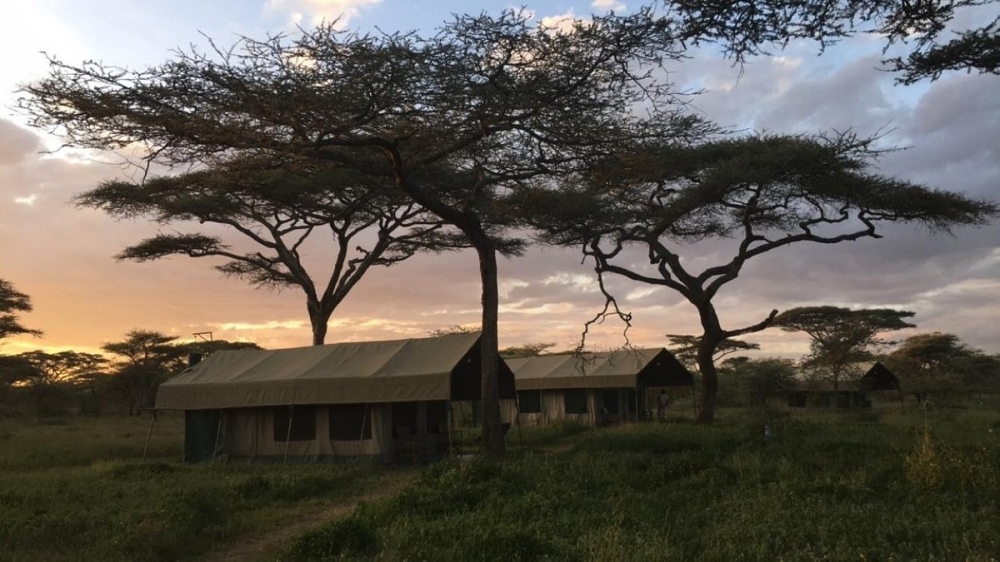 Tawi Lodge