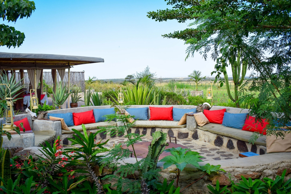 Zebra Plains Mara Camp