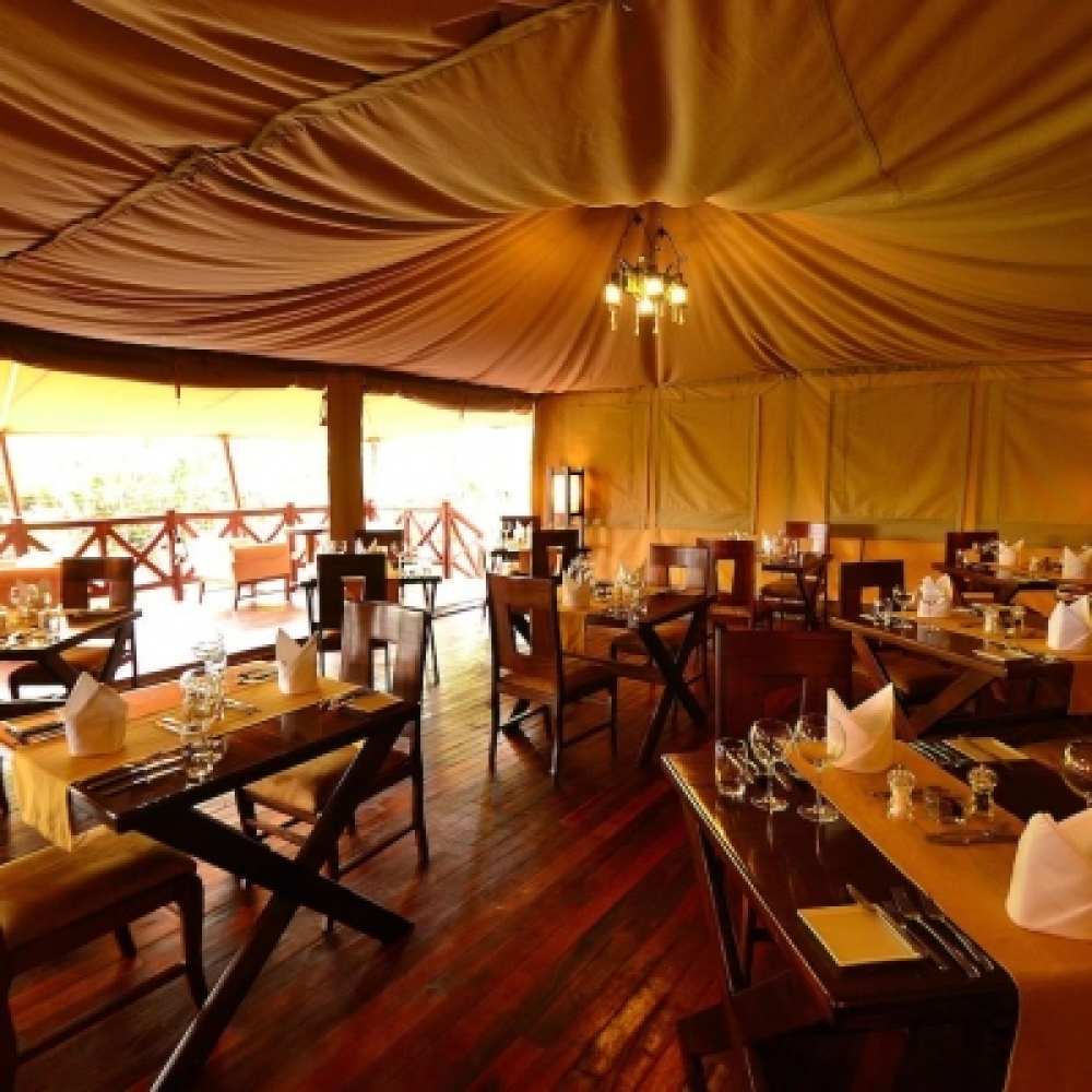 Kiboko Luxury Camp