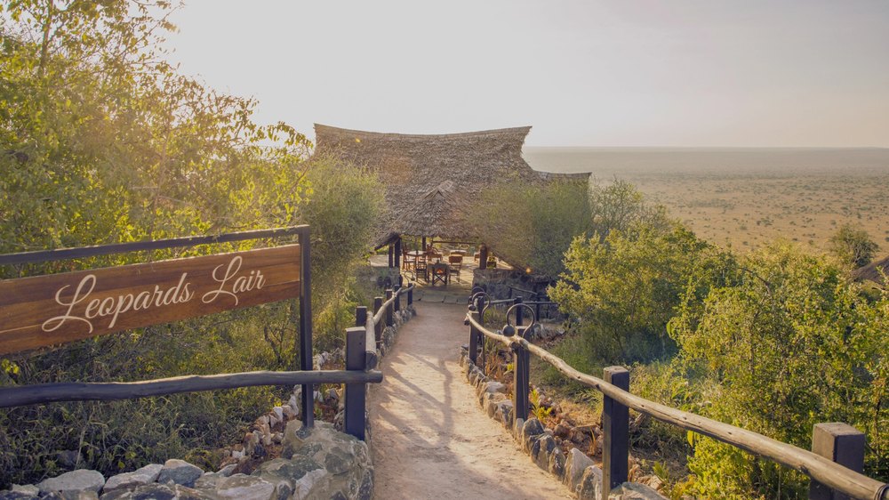 Soroi Leopards Lair