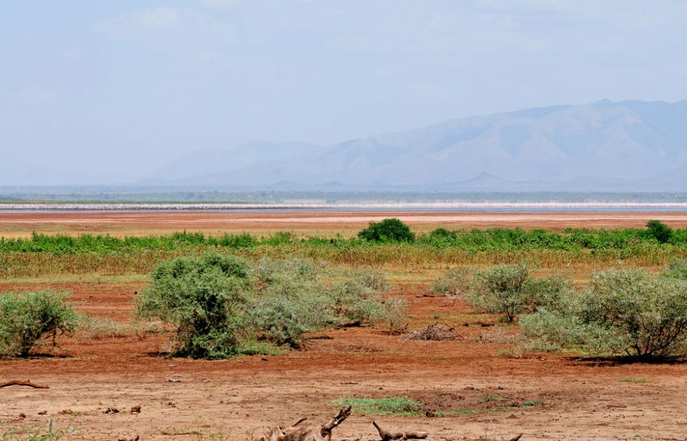 Fotografía de campo Spirit of Kenya 11