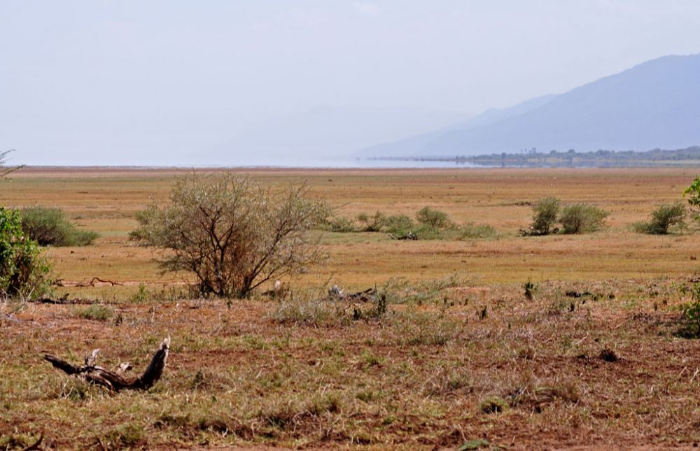 Fotografía de campo Spirit of Kenya 15