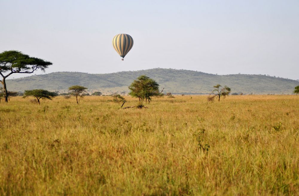Fotografía de campo Spirit of Kenya 46