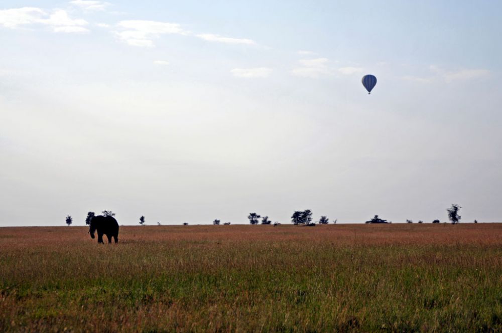 Photographie de terrain Spirit of Kenya 47