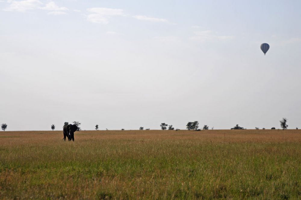 Fotografía de campo Spirit of Kenya 47