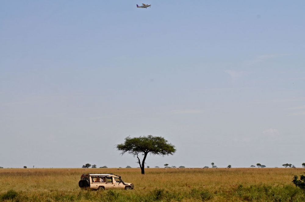 Fotografía de campo Spirit of Kenya 48