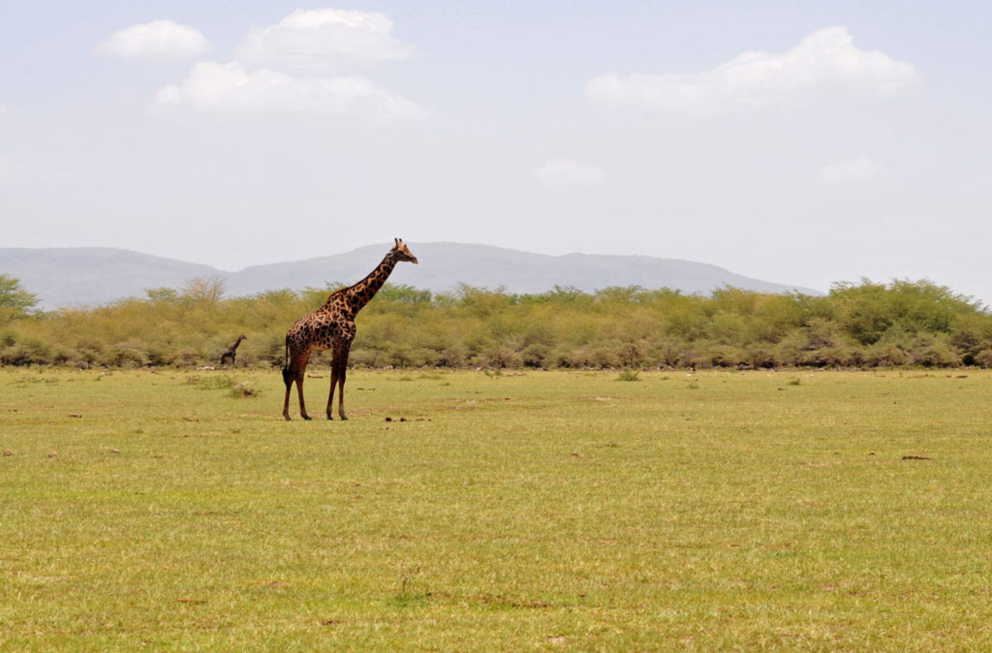 Spirit of Kenya field photograph 9