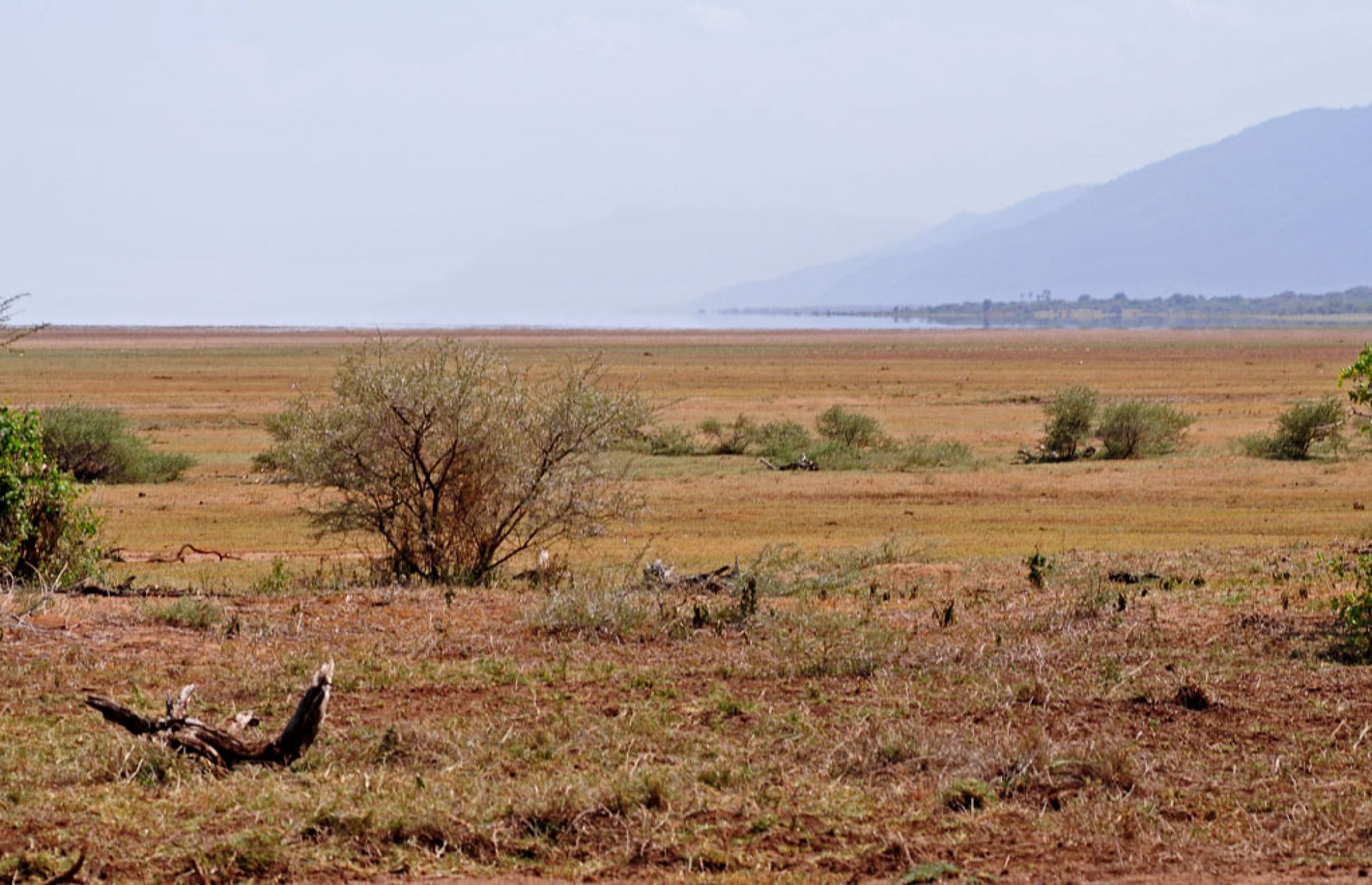 Spirit of Kenya field photograph 14