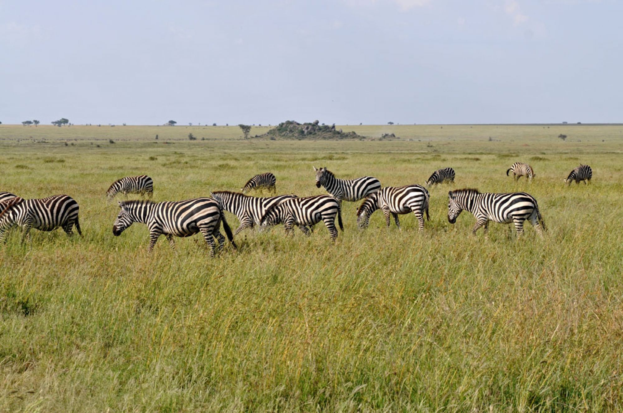 Spirit of Kenya field photograph 31