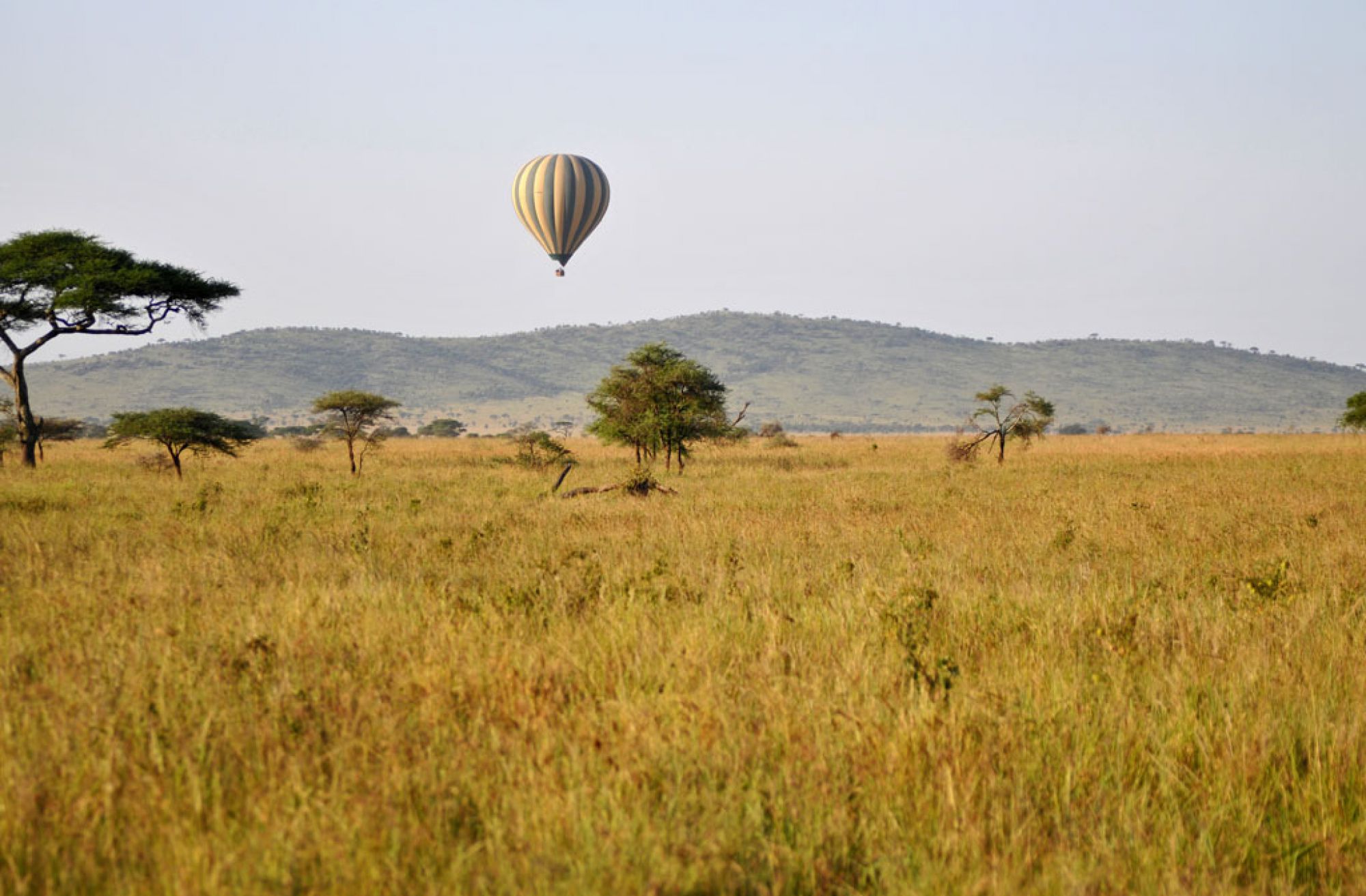 Spirit of Kenya field photograph 45