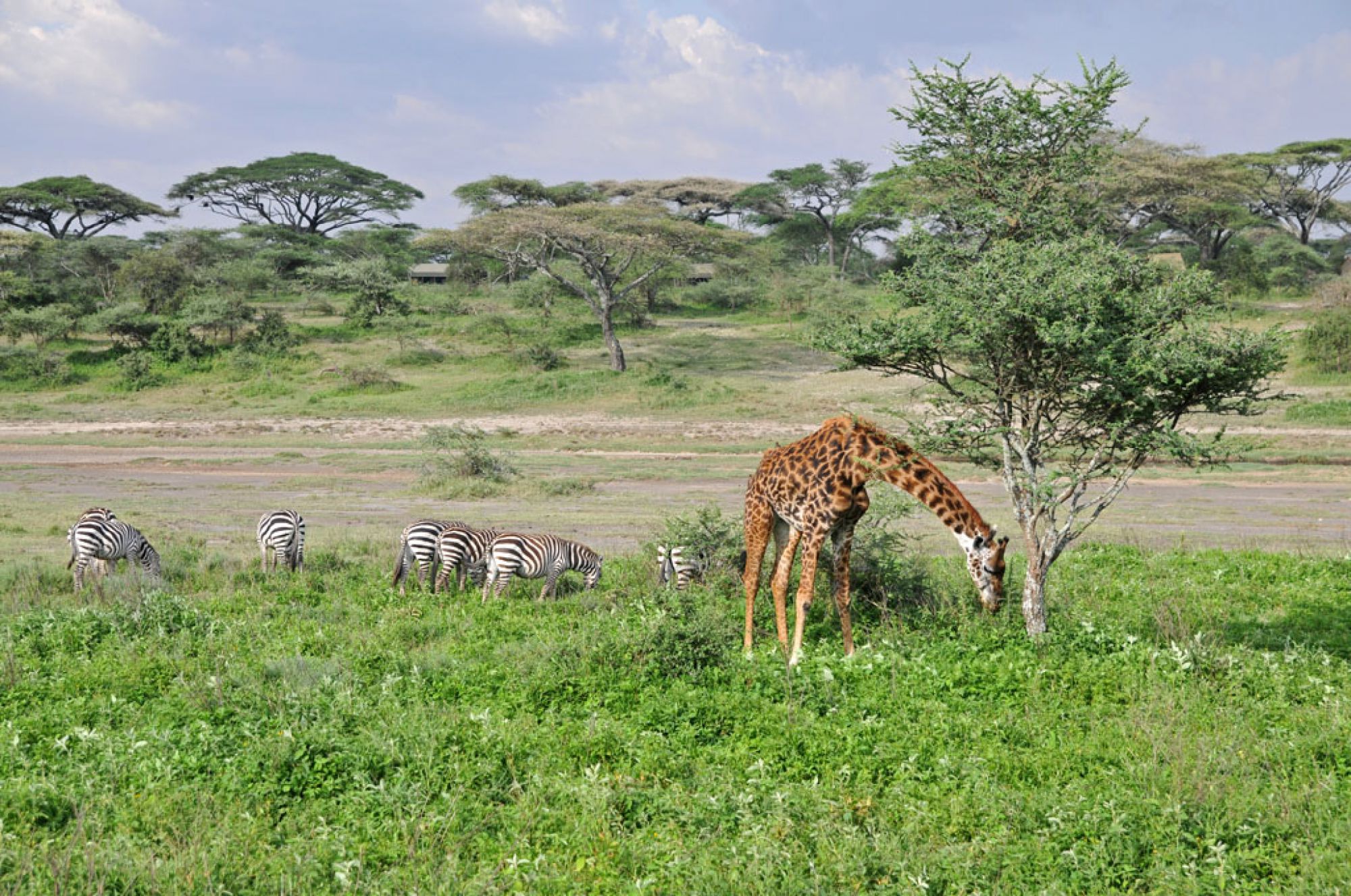 Spirit of Kenya field photograph 88