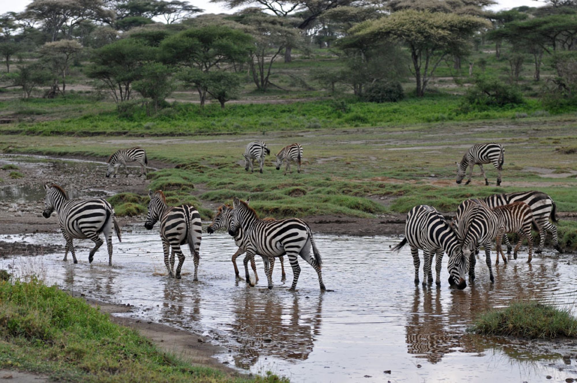 Spirit of Kenya field photograph 115