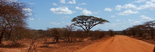 https://www.spiritofkenya.com/assets/media/safari-tours-s3/500x00/20180827_151007tUm.jpg