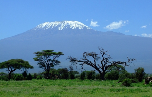 https://www.spiritofkenya.com/assets/media/safari-tours-s3/500x00/20180827_151224oqu.jpg
