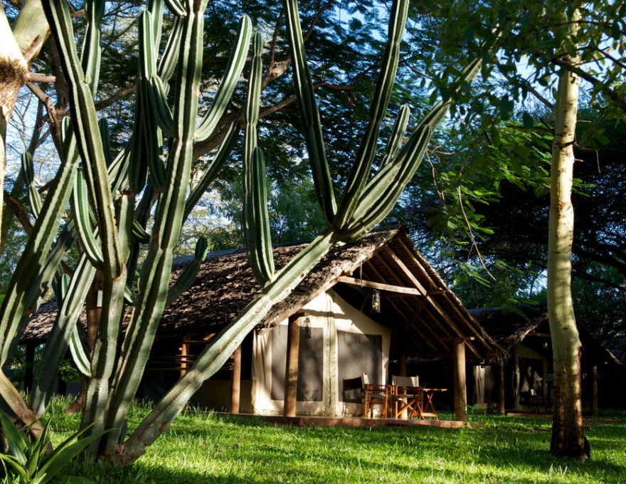 Voyager Ziwani Camp