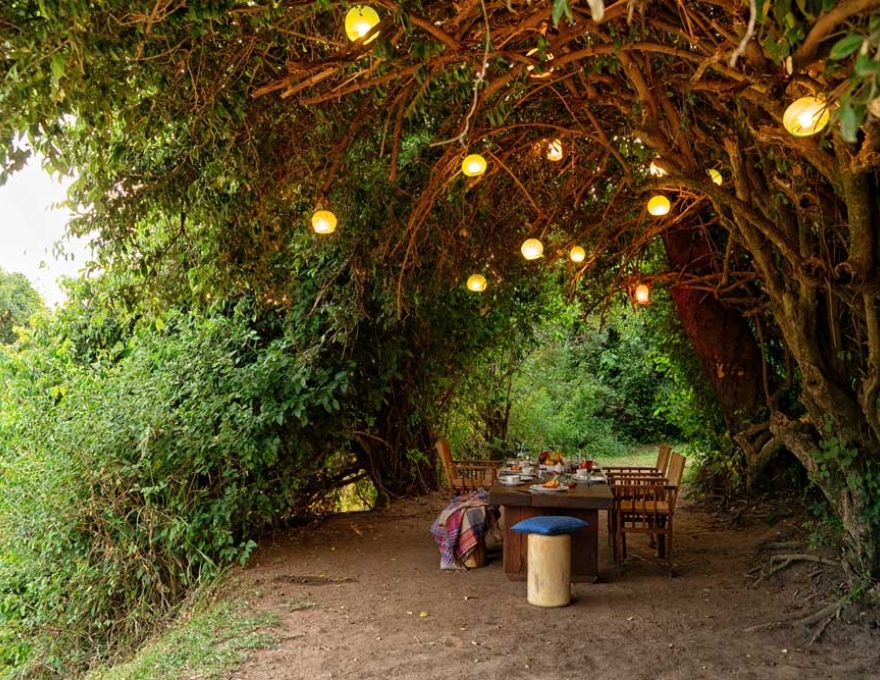 Olengoti Eco Safari Camp 2