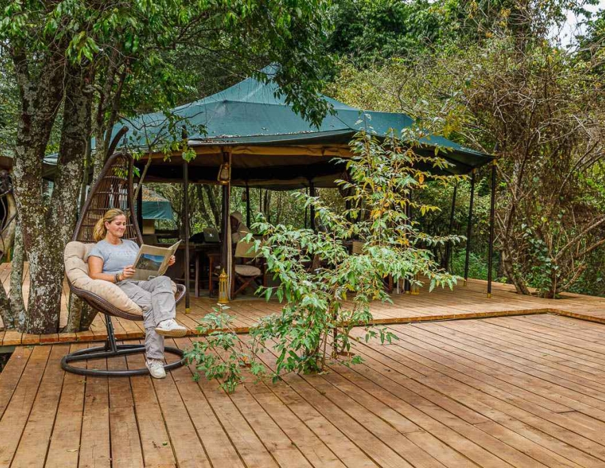 Mara Bush Camp 3