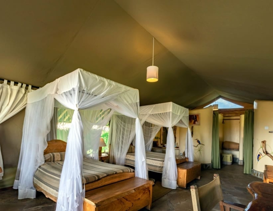 Kibo Safari Camp 2