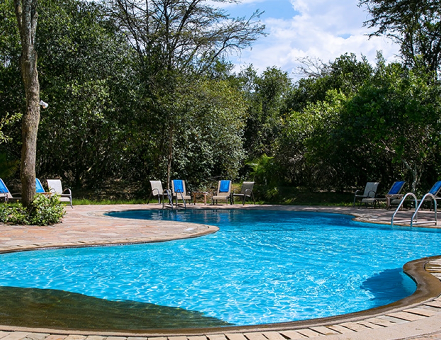 Mara Simba Lodge 2