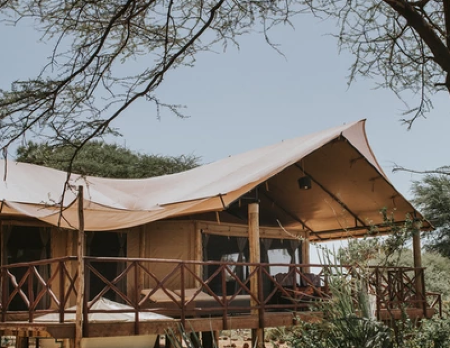 Elephant Bedroom Camp 2