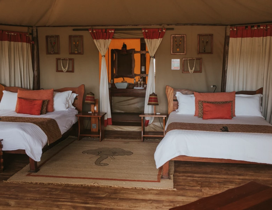 Elephant Bedroom Camp 5