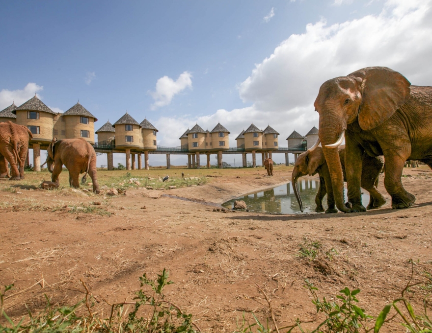 Salt Lick Game Lodge 2