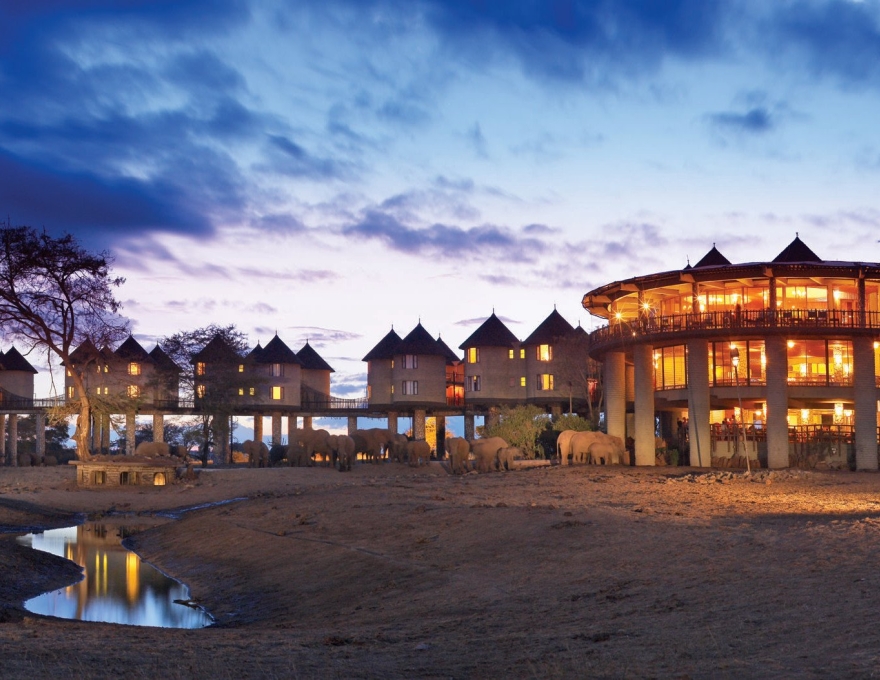 Sarova Salt Lick Game Lodge