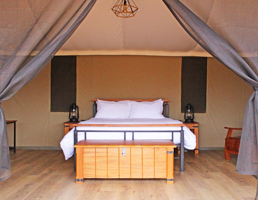 Tulia Amboseli 3