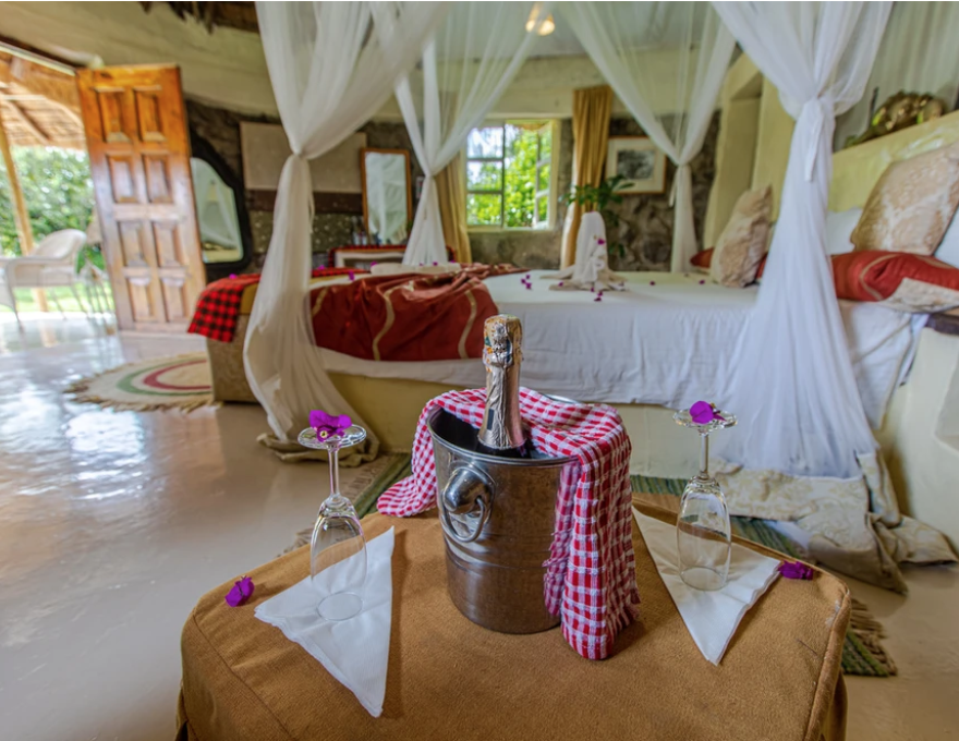 Mbweha Camp 4