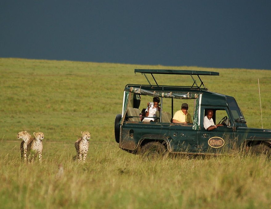 Mara Intrepids Camp 5