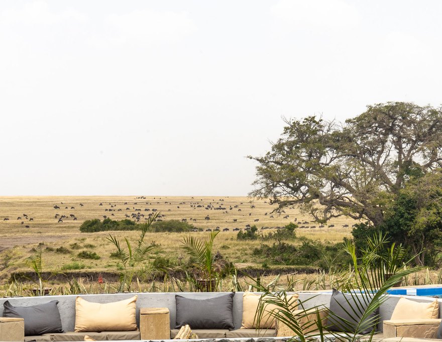 Royal Zebra River Safari Lodge 3