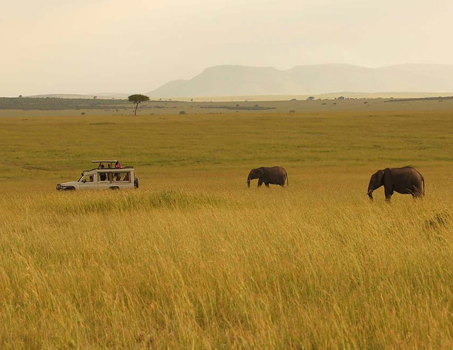 Sarova Mara 4