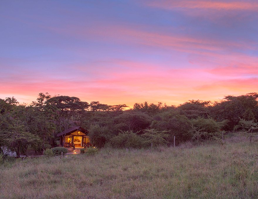 Sarova Mara 5