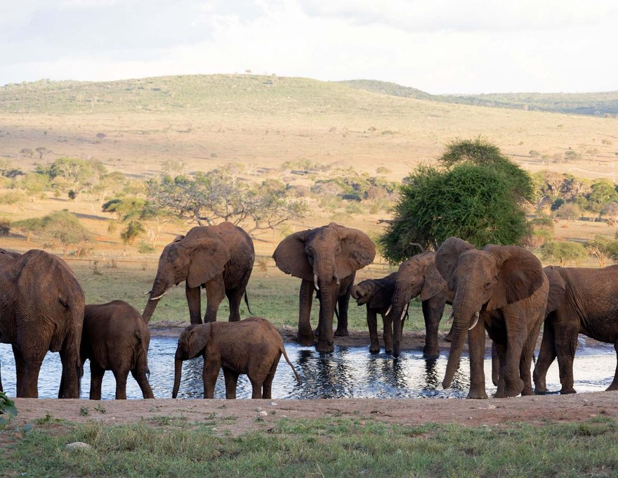 Taita Hills Safari Resort & Spa 2