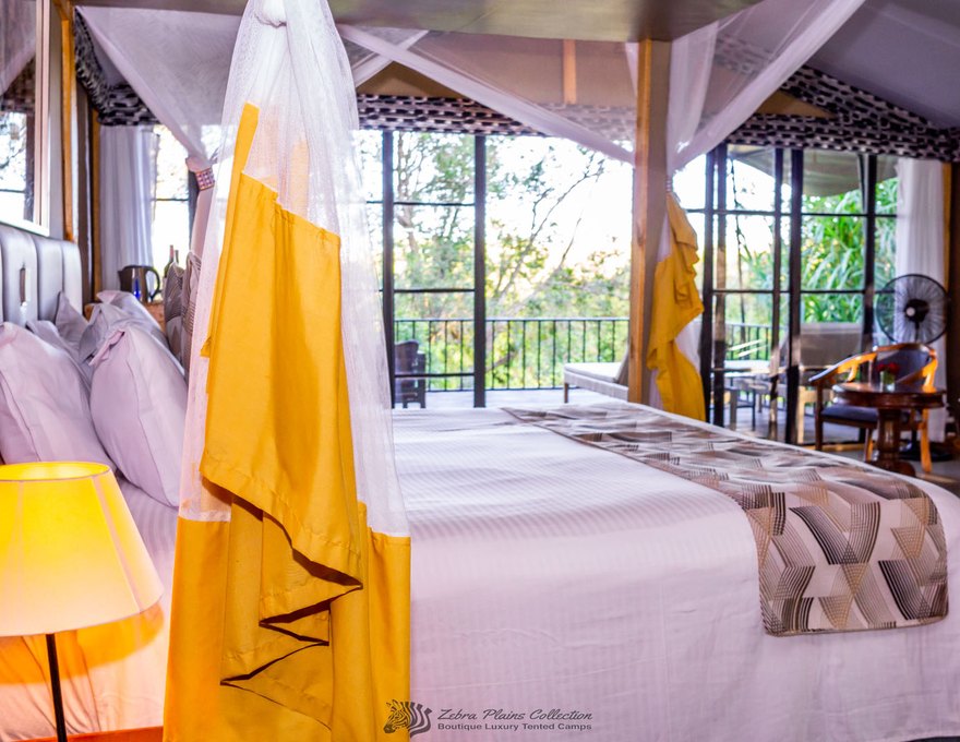 Zebra River Camp 2