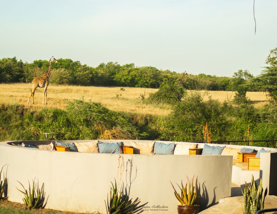 Zebra River Camp 5