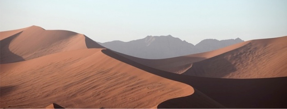 Namibie Highlights Standard Safari