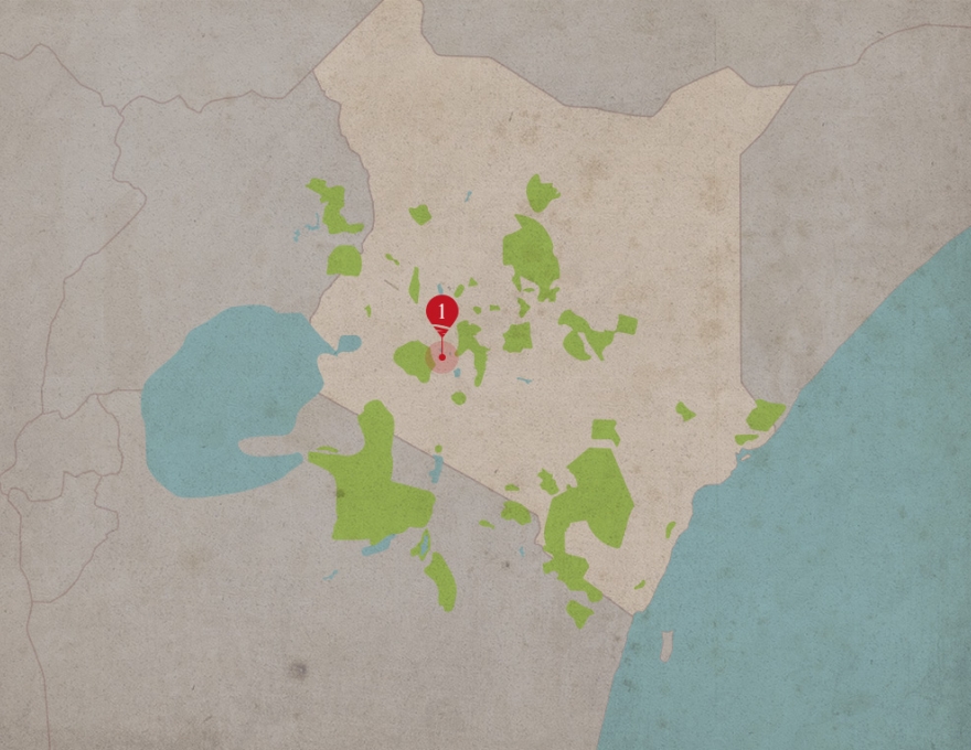 Original Spirit of Kenya route map: 1 Day Lake Nakuru