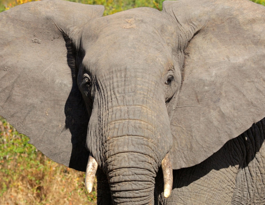 Original Spirit of Kenya route map: Cape Town and Kruger Safari - Standard