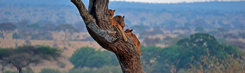 From Kenya to Tanzania with Love 8