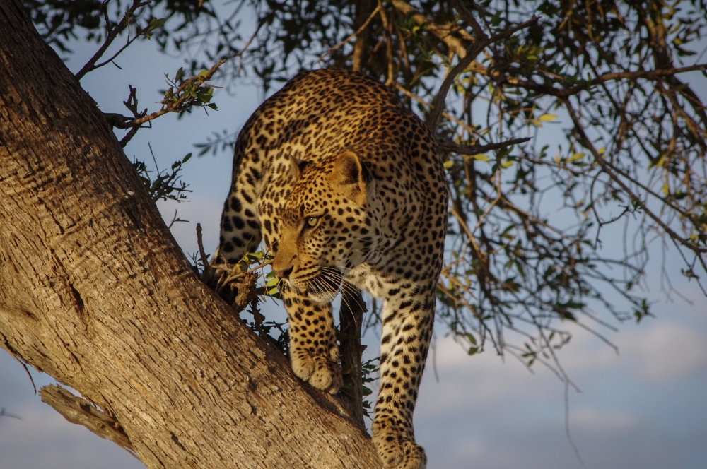 Wonders of Kenya and Tanzania 3