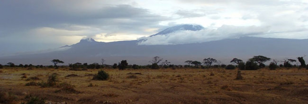 Impressionant Kenya 4