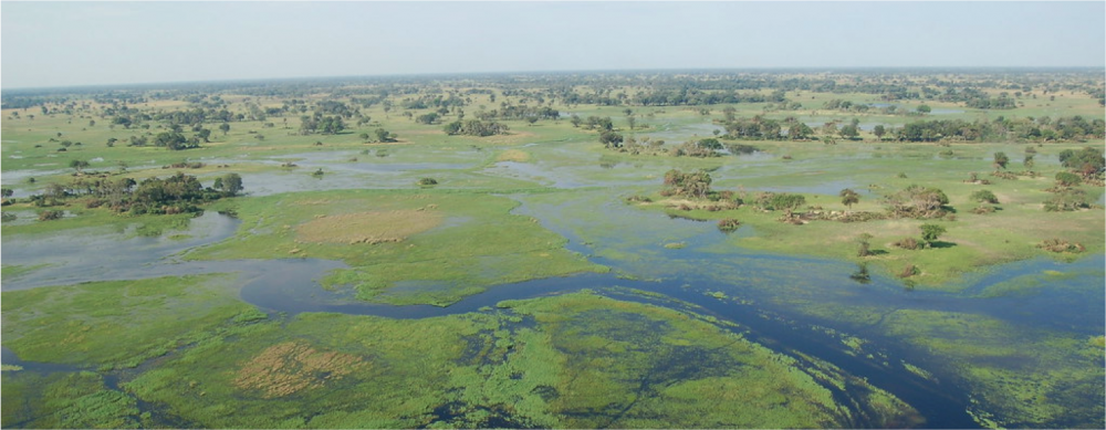 Best Of Botswana & Victoria Falls 4