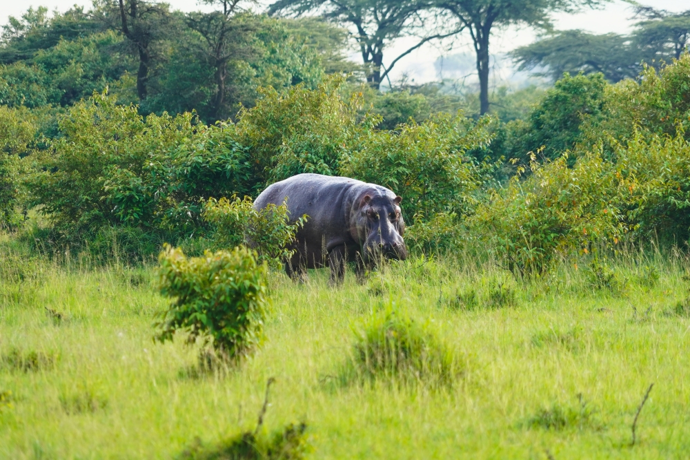 7 Day Safari with Mombasa Extension 4
