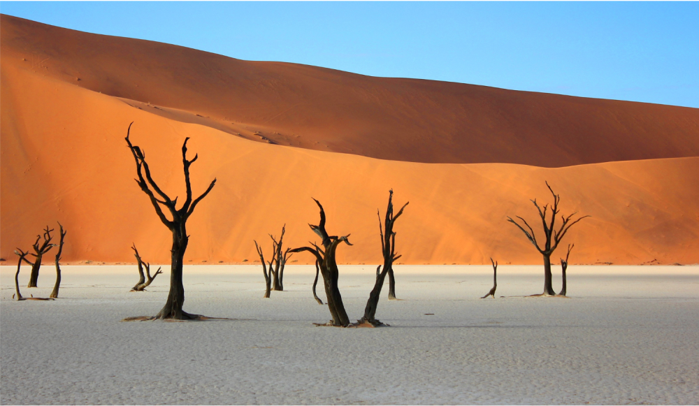 El mejor de Namibia Luxury Safari 2