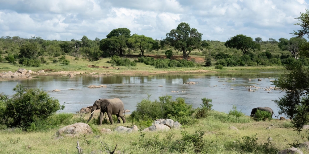 Cape Town e Kruger Safari - Luxury 2