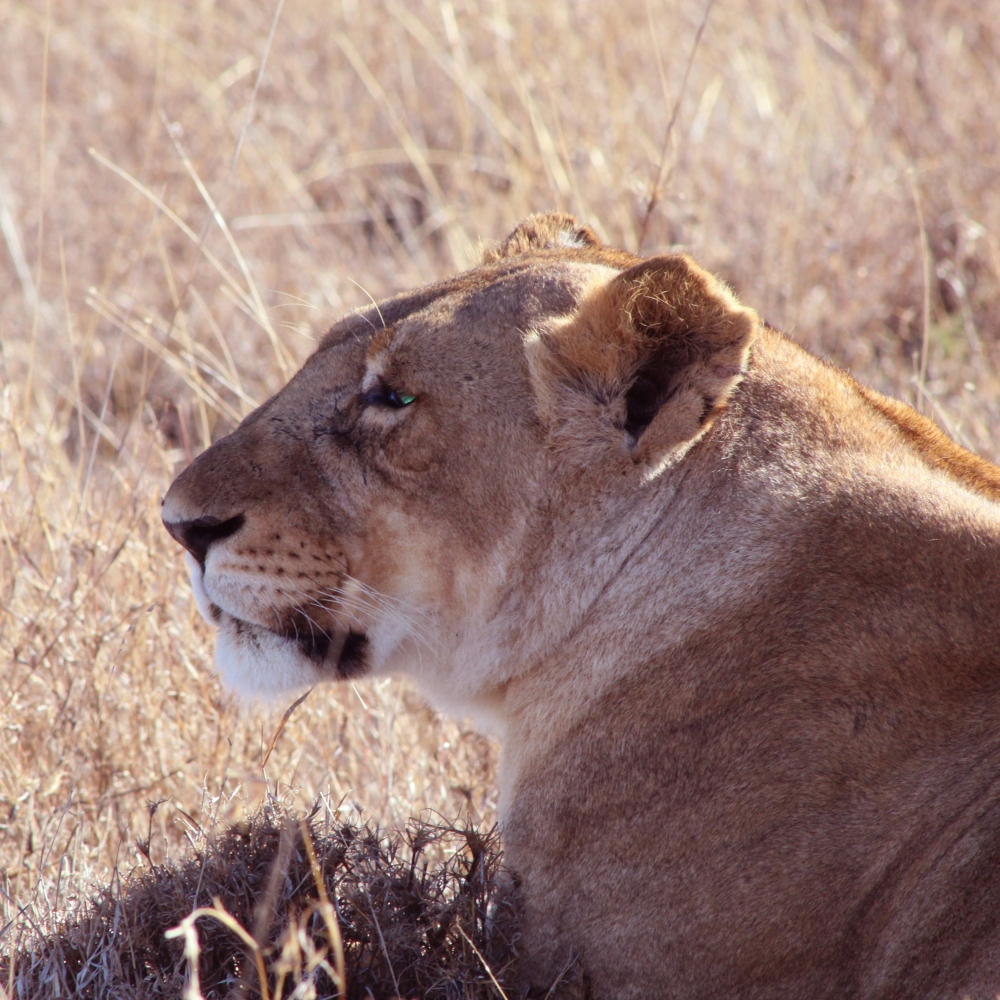 Explorando Kenya 3