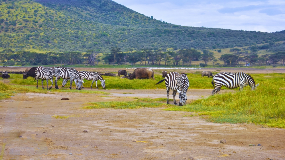 Explorando Kenya 4