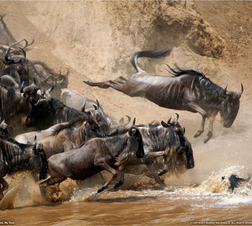 Explorando Kenya 5